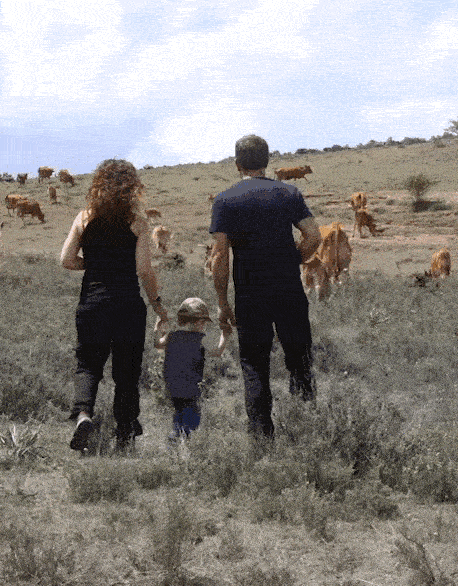 GIF